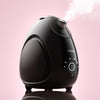 Fancii Rivo nano ionic facial steamer for at home facials with aromatherapy essential oils in Black