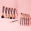 ARIA the best makeup brush 12-piece set in Velvet